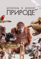 Шпионы в дикой природе смотреть онлайн тв шоу 1-2 сезон 